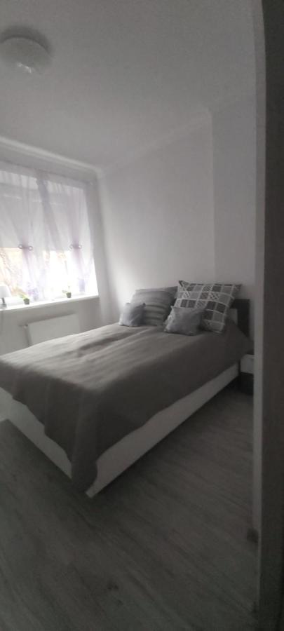 Apartament U Eli Stronie Śląskie Dış mekan fotoğraf